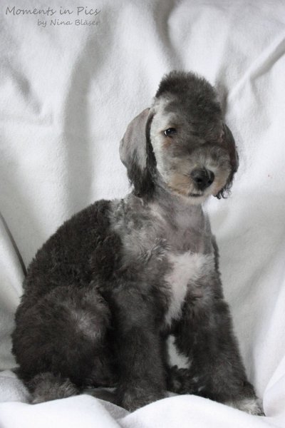 Antares 2009-08-01 & 02 (16).JPG